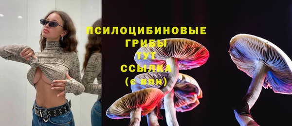 дмт Володарск