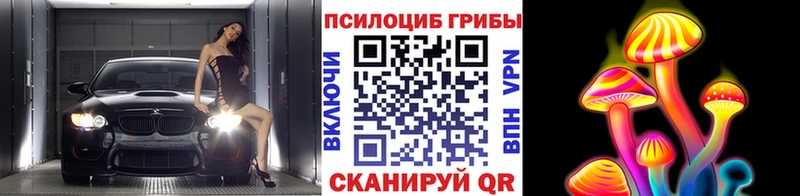 Галлюциногенные грибы мицелий  Купить закладки  Высоковск 